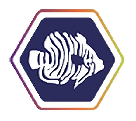 Queen Triggerfish
