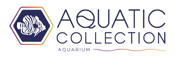 Aquatic Collection Aquarium